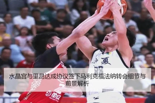 水晶宫与里昂达成协议签下马利克福法纳转会细节与前景解析